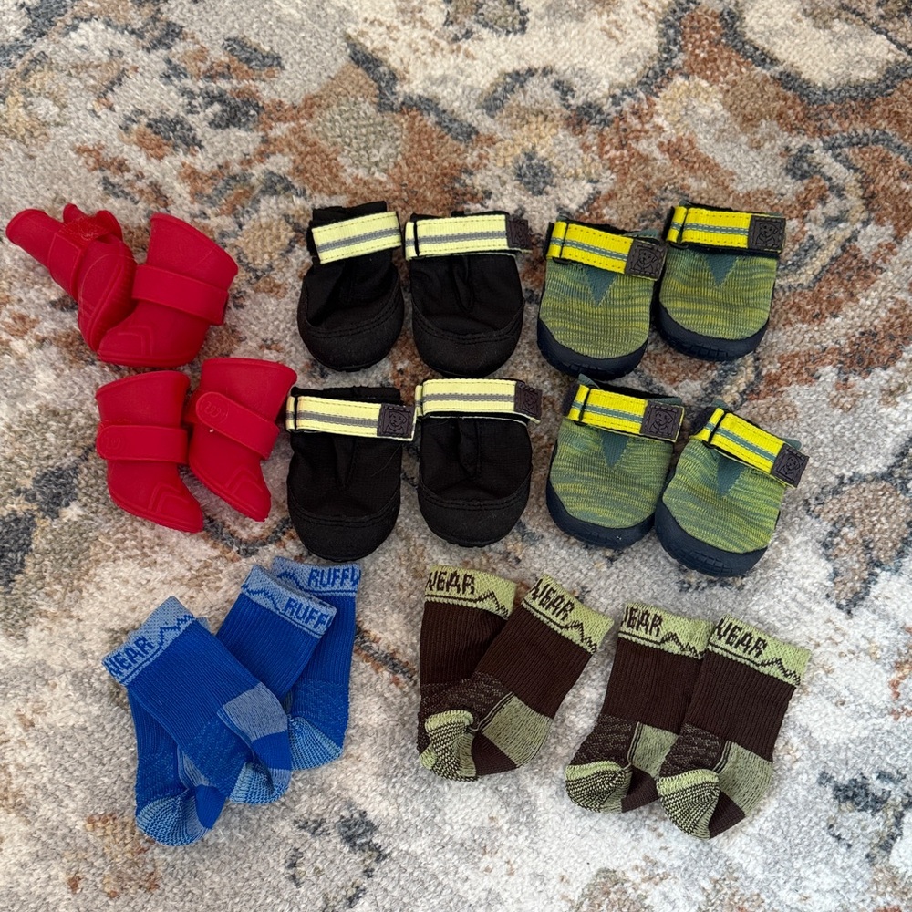 Collection of sold out activewear shoes for tiny dog